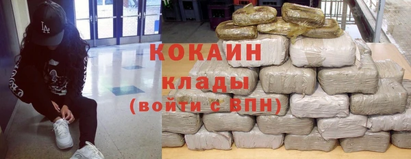 индика Алзамай