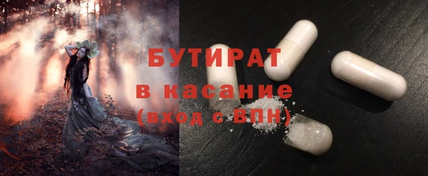индика Алзамай