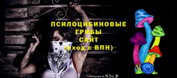 ГАЛЛЮЦИНОГЕННЫЕ ГРИБЫ Саяногорск