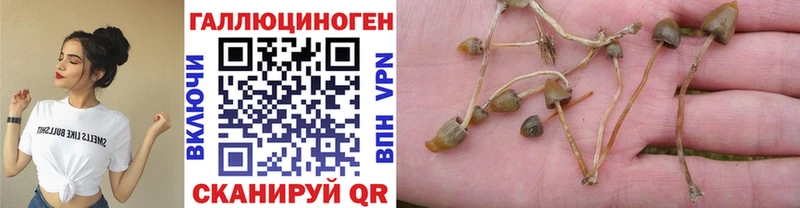 Псилоцибиновые грибы Magic Shrooms закладка Калачинск